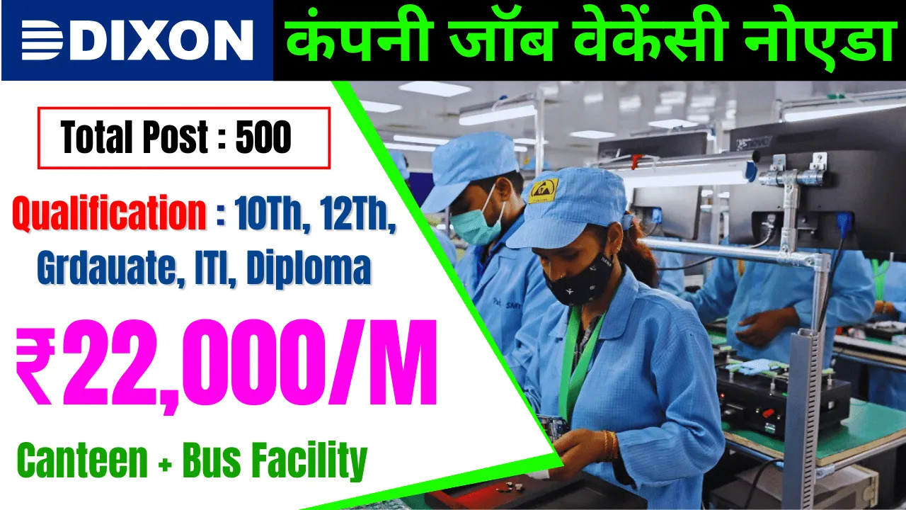 Dixon Company Job Vacancy for Freshers