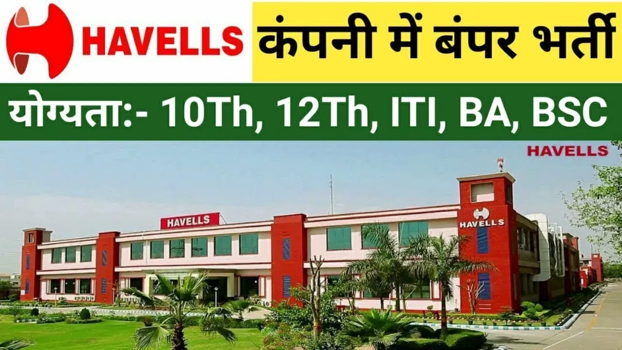 Havells Company Job Vacancy 2024