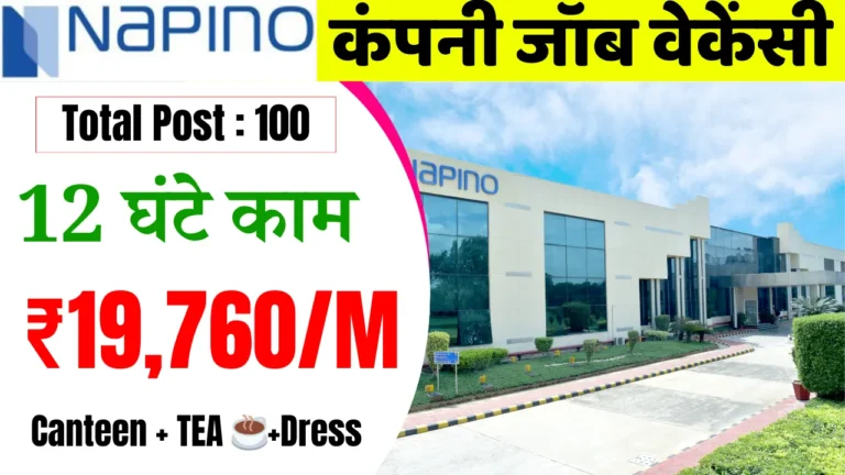 Napino Company Job Vacancy Manesar Gurgaon