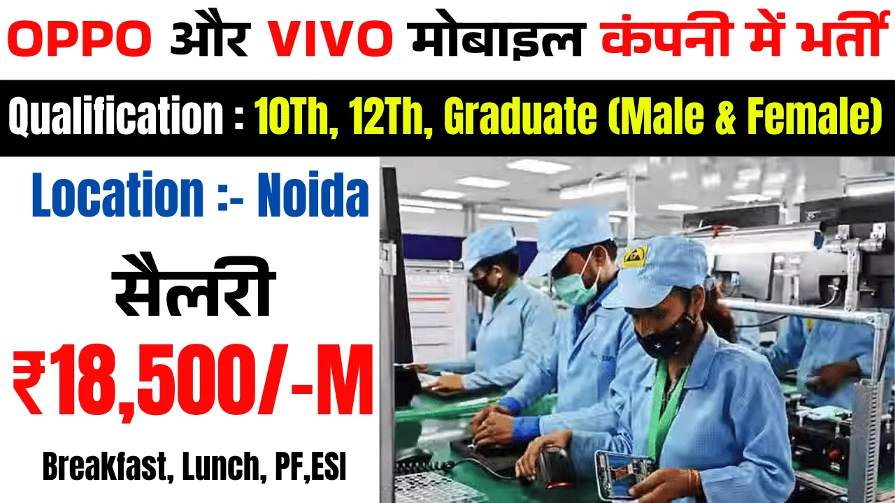 Mobile Company Job Noida