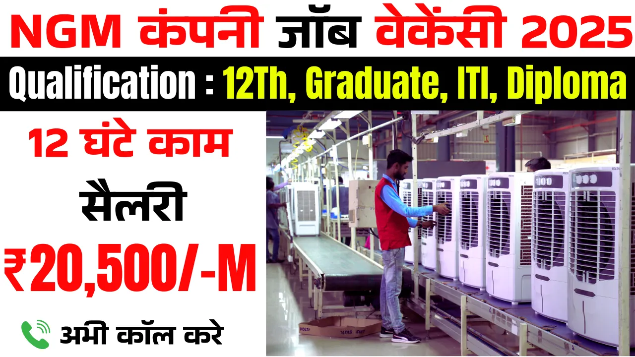 NGM Company Job Vacancy 2025