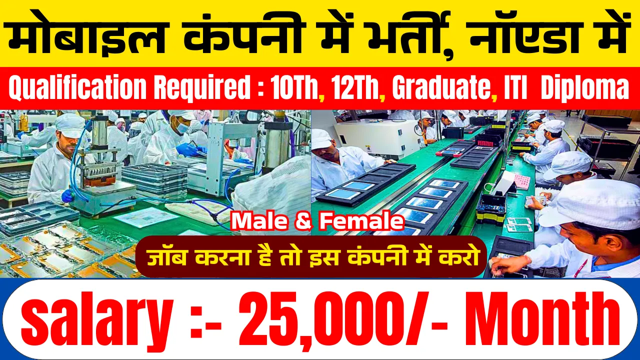 Mobile Company Job Vacancy Noida