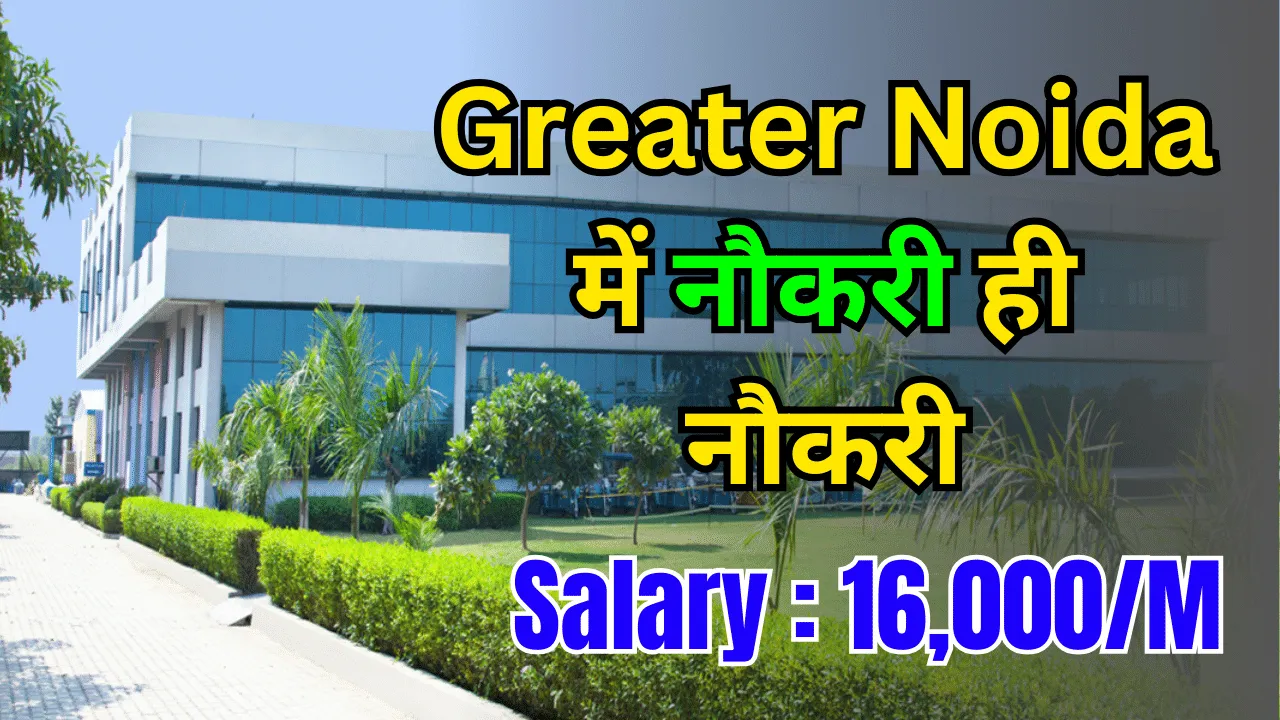 Parida Red Lion Company Job Vacancy Greater Noida