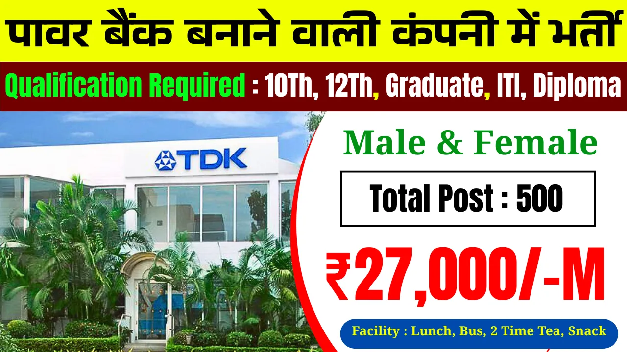 TDK Company Job Vacancy 2025
