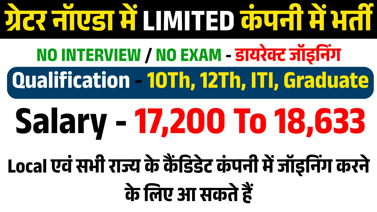 Holostik India Limited Job Vacancy Greater Noida