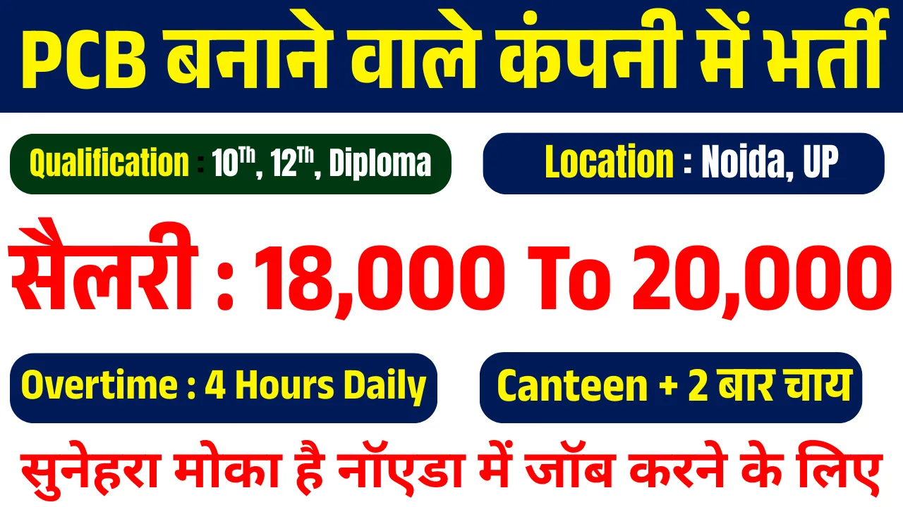 Noida Job Vacancy 2025