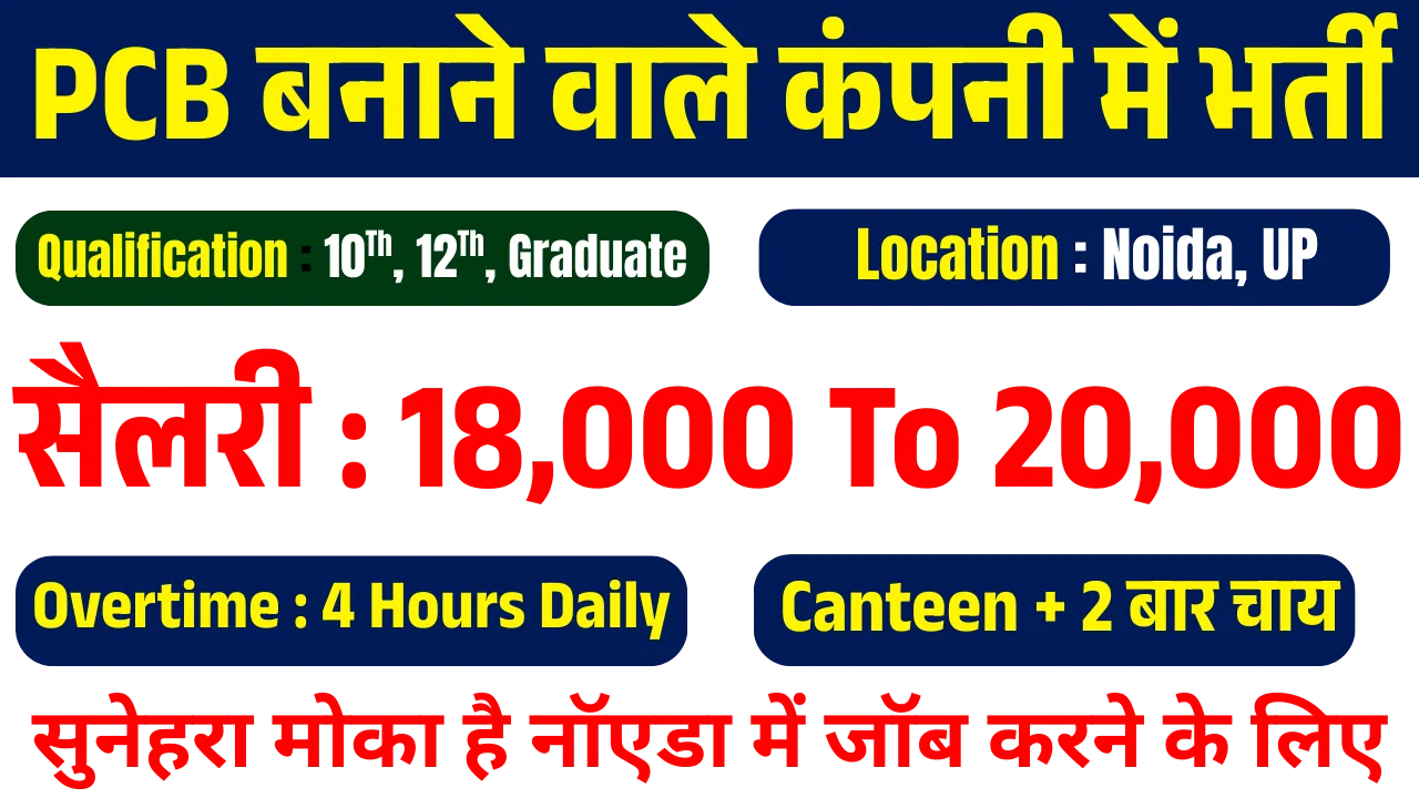 Noida Job Vacancy 2025