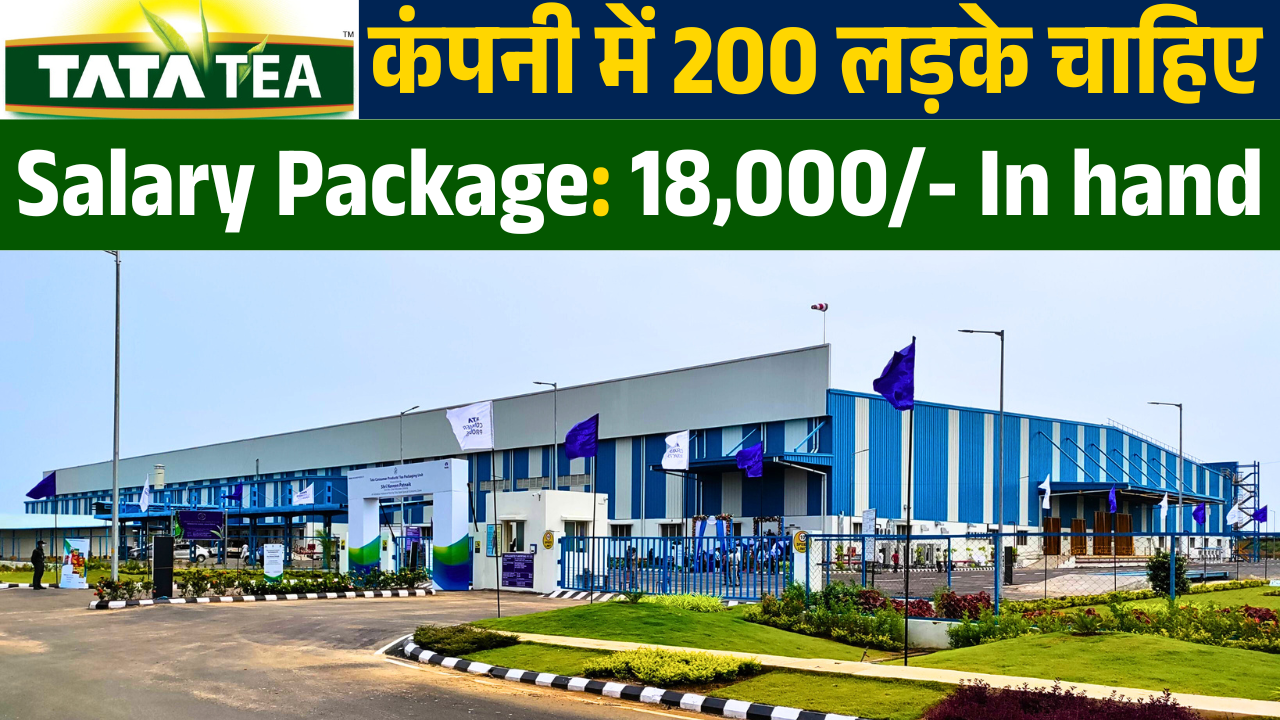 Tata Tea Company Job Requirement 2025