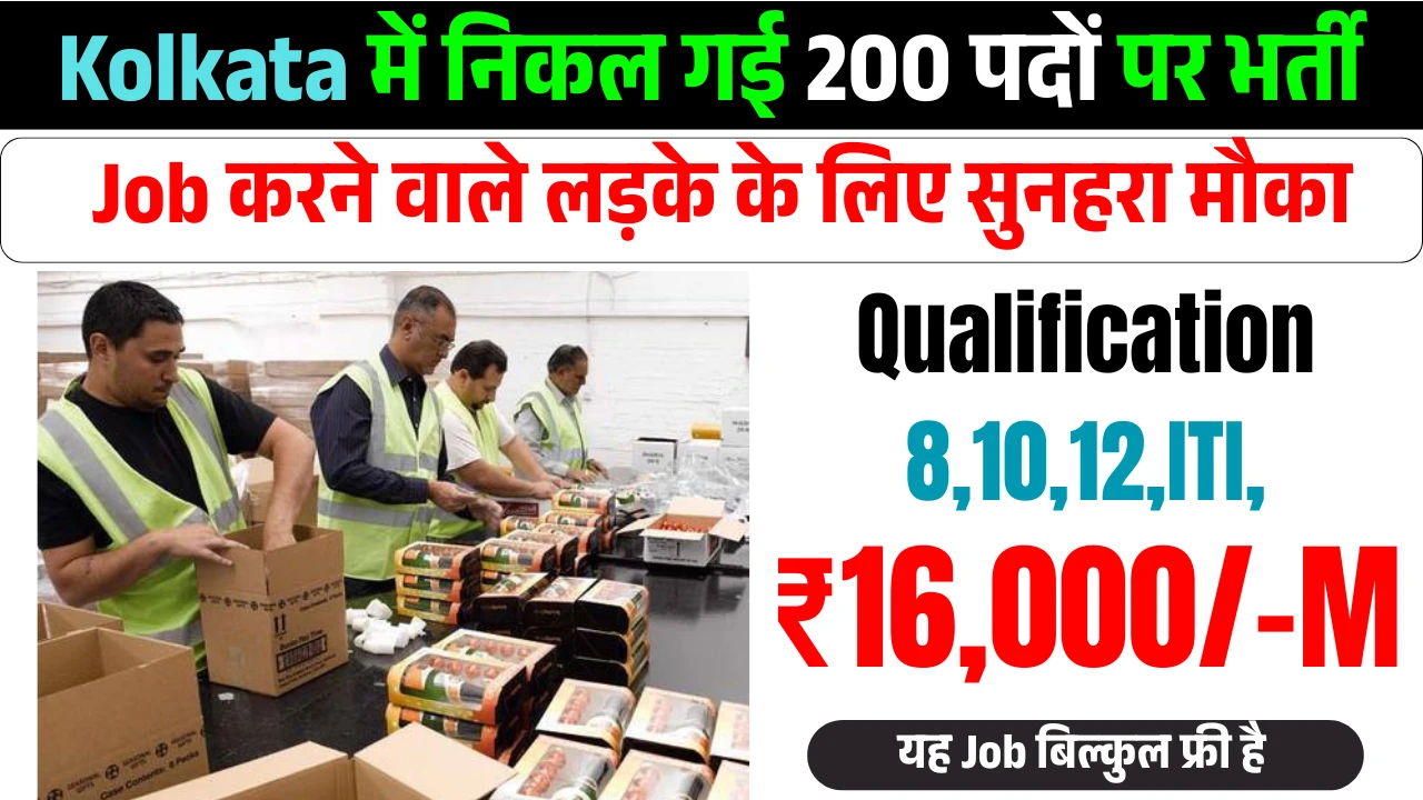 Packing job kolkata, kolkata job