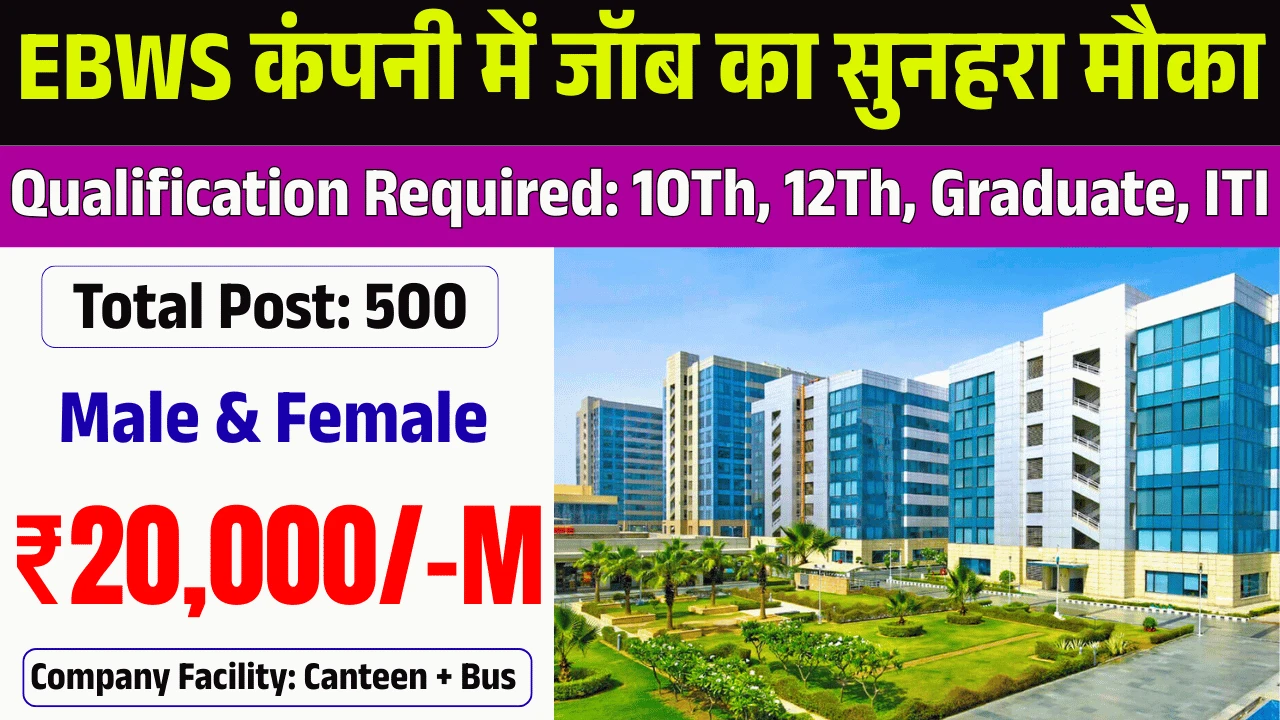 EBWS Company Job Requirement 2025