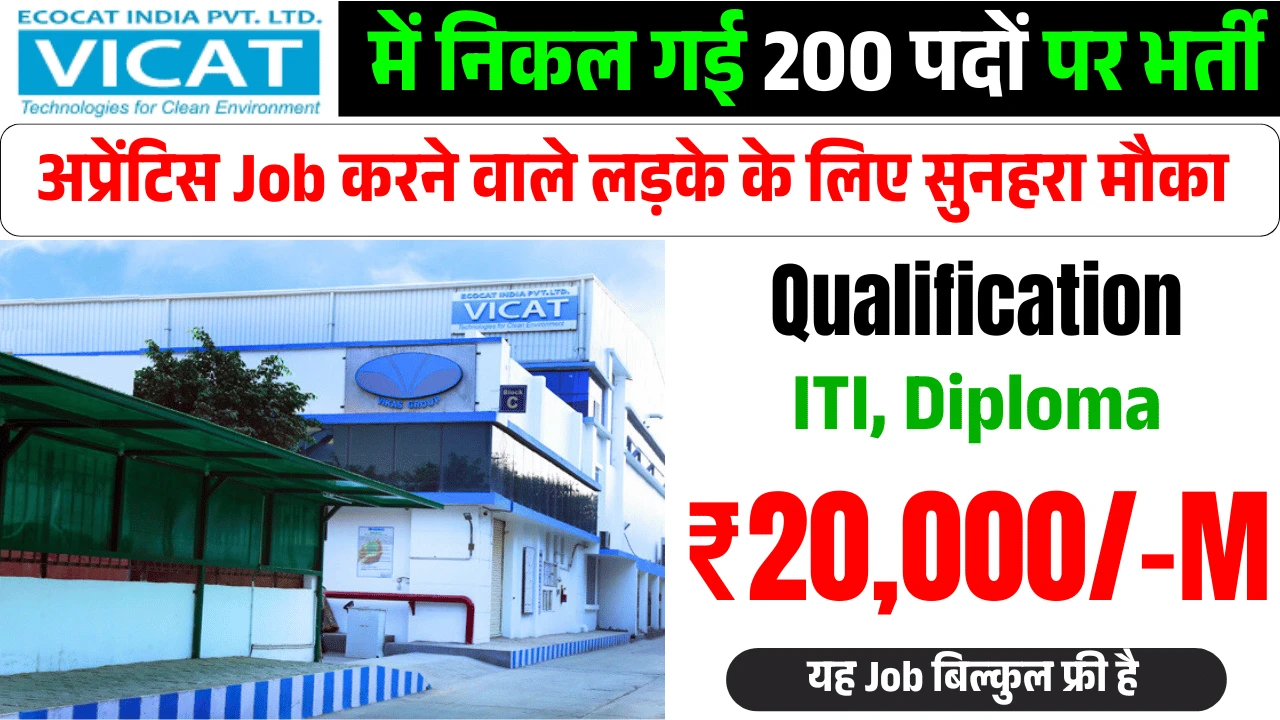 Ecocat India Job Requirement in Faridabad