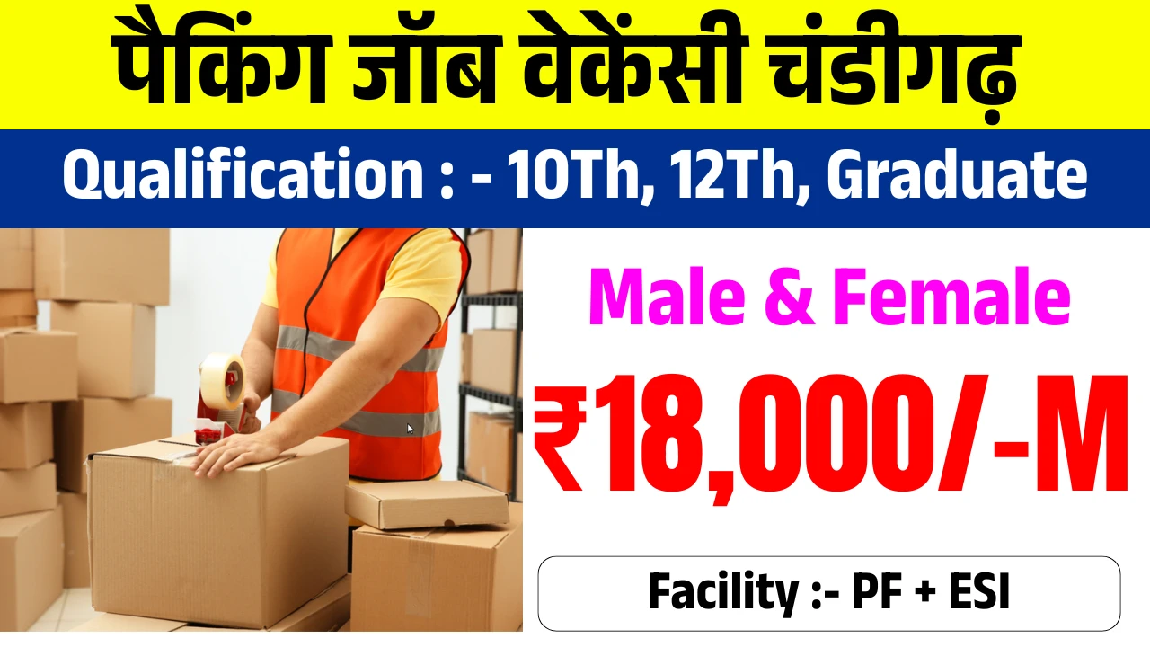 Packing Job, Warehoush Job Vacency